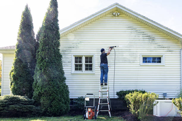 Best Driveway Pressure Washing  in George, IA